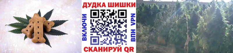 даркнет наркотические препараты  Лениногорск  Печенье с ТГК конопля  как найти закладки 