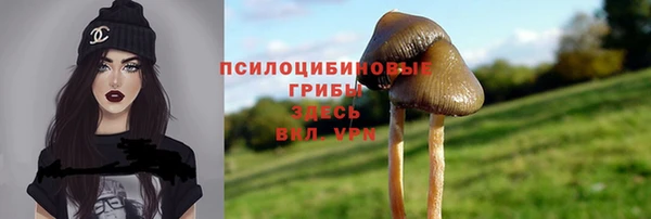 сатива Алексин